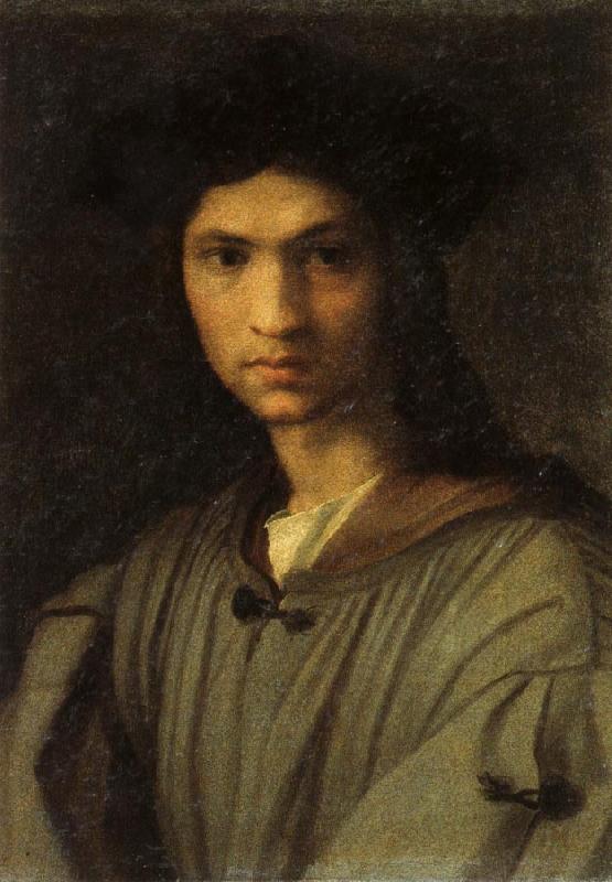 Andrea del Sarto Self-Portrait oil painting image